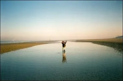 Qui chantait   La mer du Nord en hiver sortait ses lphants gris verts ... . je chante un baiser  ?