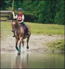 En cross, comment se nomme l'obstacle qui contient de l'eau ?