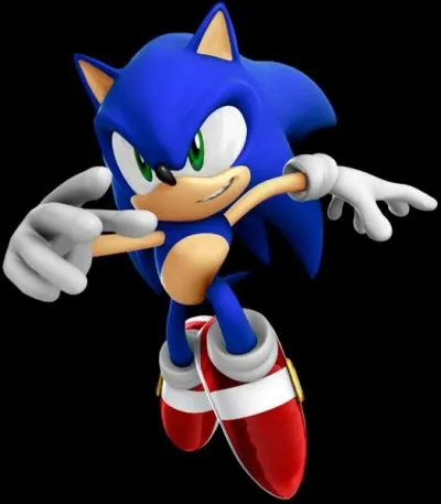 Moi c'est Sonic. Je sais contrler les :