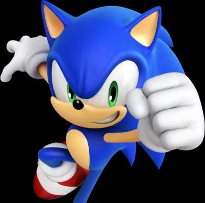 Salut, c'est moi Sonic. Mon meilleur ami a 8 ans. Il a deux queues. C'est ?