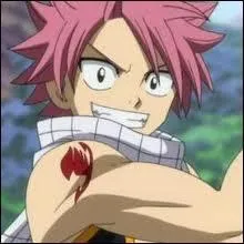 Quel est le nom de Natsu ?