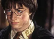 Quiz Harry Potter 2 - Les personnages