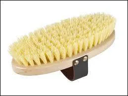 Quelle est cette brosse ?