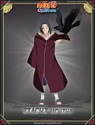 Qui est ce personnage de l'Akatsuki ?