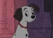 Quiz Les 101 Dalmatiens