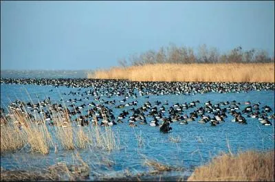 O se situe la Camargue ?