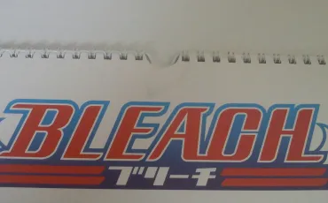 Quiz Bleach