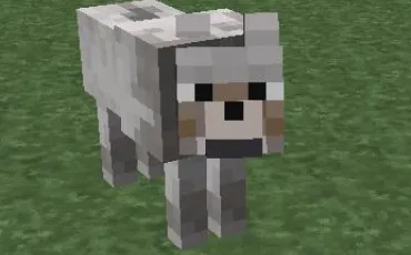 Quiz Minecraft