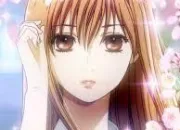 Quiz Chihayafuru - Saison 1