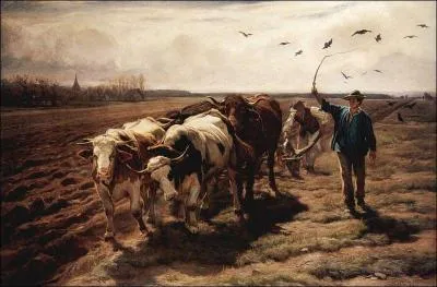 Labour à quatre avec "un joug de garrot", de Rudolf Koller (1868). Où se place la pièce de bois ?