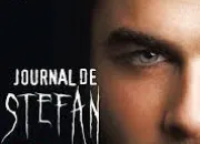 Quiz Journal de Stefan : Tome 2