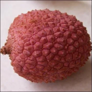 Dans l'eau claire, un litchi :