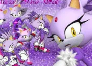 Quiz 10 questions sur : Blaze the cat