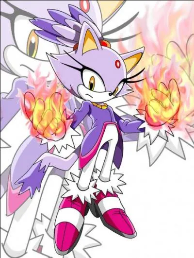 Blaze est quelle sorte d'animal ?