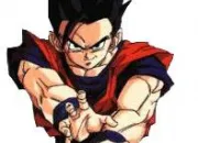 Quiz Dragon Ball (1) - San Gohan