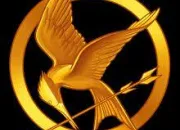 Quiz Hunger Games