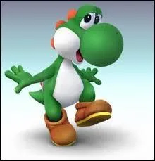 Yoshi est un(e) ... .