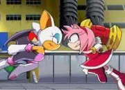 Quiz Amy Rose et Rouge the bat