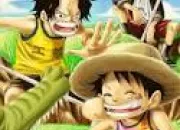 Quiz Ace, Luffy et Sabo, petits