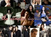 Quiz Vampire Diaries