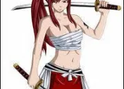 Quiz Fairy Tail (Erza)