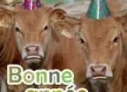 Quiz Le quiz vache du jour de l'an !