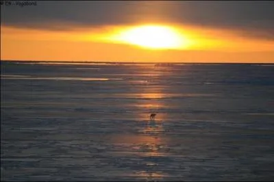 Pourquoi appelle-t-on le Japon  le Pays du soleil levant ?