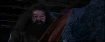 Harry Potter  l'cole des sorciers : Que fait Hagrid quand il arrive chez les Dursley ?