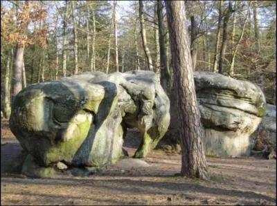 Parfois la nature joue  sculpter des formes tranges, o verrez vous cet lphant ?