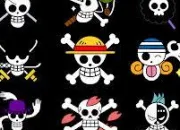 Quiz One Piece