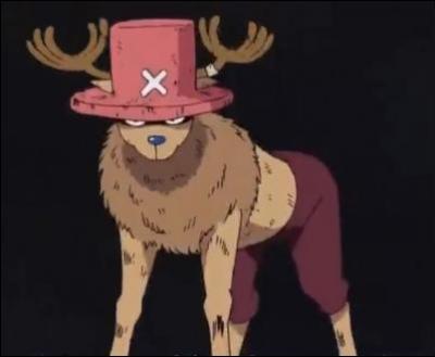 One Piece: Chopper's Transformations Quiz - By BorezU