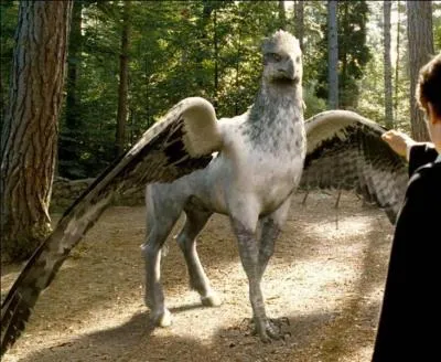 Quelle est cette crature apparue dans  Harry Potter  ?