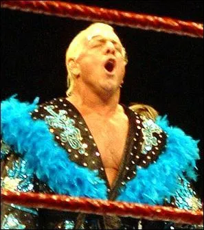 Dans quel pays, Pai-per-v ric Flair a t-il pris sa retraite ?