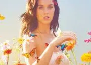 Quiz Katy Perry Quizz