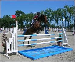 Quiz Equitation