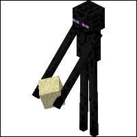 Quelle est la capacit de l'enderman ?