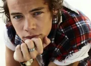 Quiz Harry Edwars Styles des One Direction