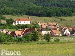 Nous commenons par une visite de la ville alsacienne de Dieffenthal. Nous serons dans le dpartement ...