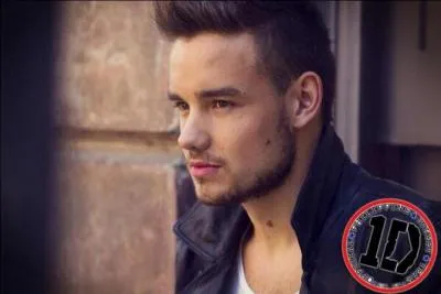 Quel est le dessin anim prfr de Liam Payne ?