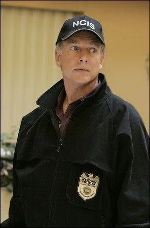 Qui joue le rôle de l'agent spécial Leroy Jethro Gibbs ?