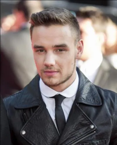 Quelle est la nouvelle petite amie de Liam Payne ? (en janvier 2014)