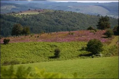 Dans quel dpartement ferez-vous de magnifiques promenades dans le massif des Mondires ?