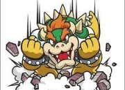 Quiz Bowser et ses sbires