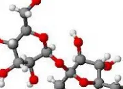 Quiz Molcules