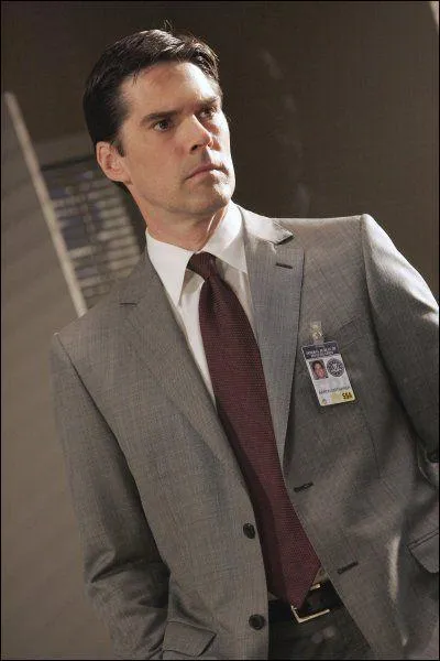 Qui joue le rle de l'agent Aaron 'Hotch' Hotchner dans la srie ?