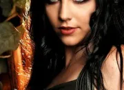 Quiz Amy Lee