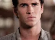 Quiz Hunger Games : Gale Hawthorne