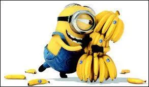 Quel fruit est le prfr des minions ?