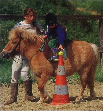 Ce mtier a pour but d'animer les activits questres pour les enfants au sein d'un poney club. Grce  une pdagogie active et ludique, il familiarise les enfants avec le cheval et transmet les premires notions d'quitation. Ce mtier qui peut tre confondu avec moniteur est...