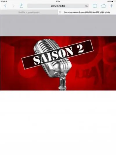 Qui sont les juges de  The Voice 2013  (saison 2) ?